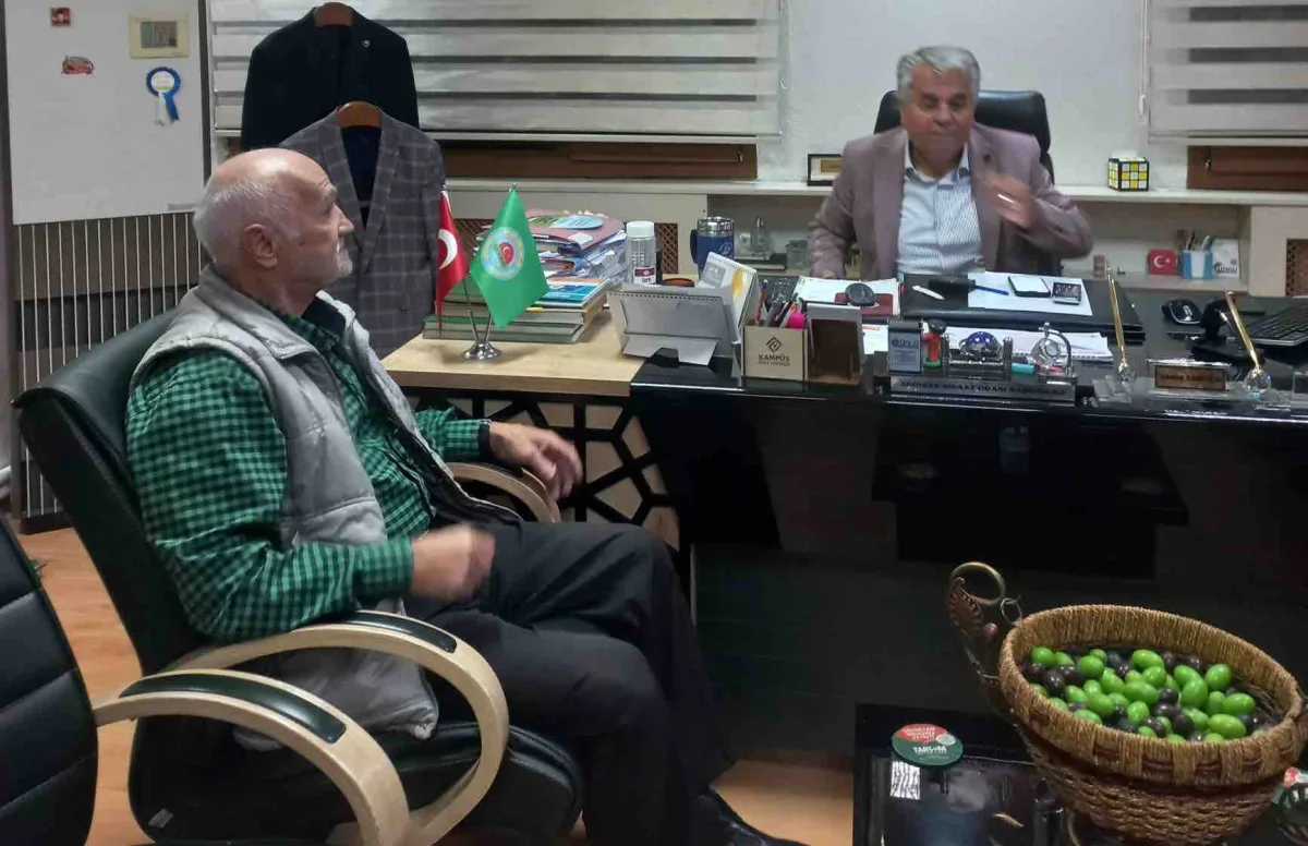 Akhisar Ziraat Odası Başkanı Ahmet Akbuğa’dan zeytin fiyatları için çağrı