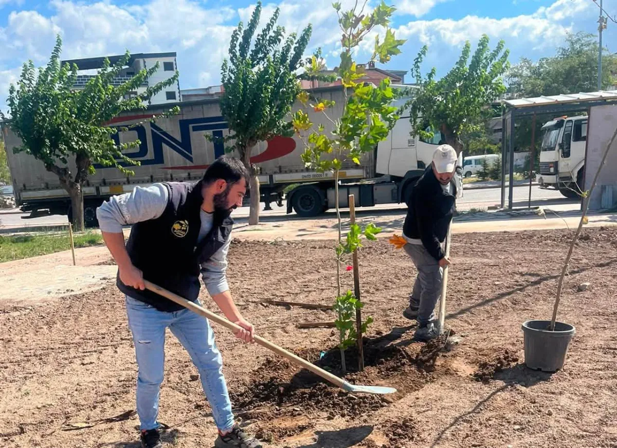 Reşatbey Mahallesi’ne yeni park: 40 fidan toprakla buluştu