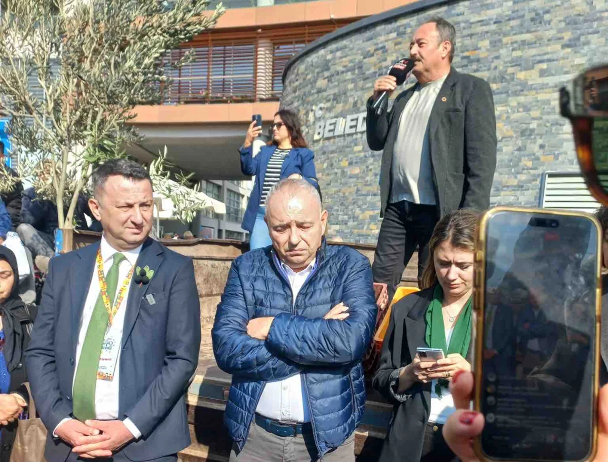 Akhisarlı zeytin üreticilerden ortak istek: Sesimizi duyun, fiyatları destekleyin!..